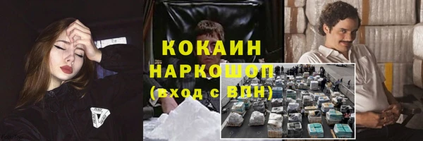 Альфа ПВП Осинники