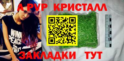 индика Камышлов