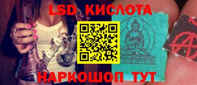 ГАЛЛЮЦИНОГЕННЫЕ ГРИБЫ Кандалакша