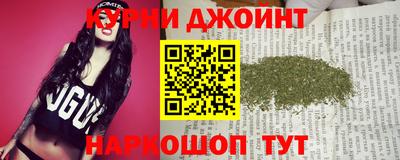 индика Камышлов