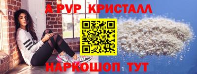 индика Камышлов