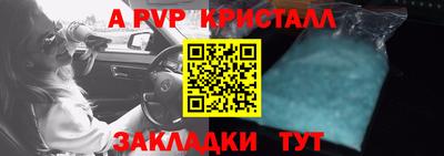 индика Камышлов