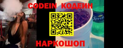 индика Камышлов