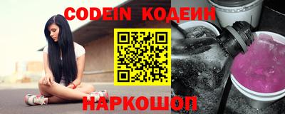 индика Камышлов