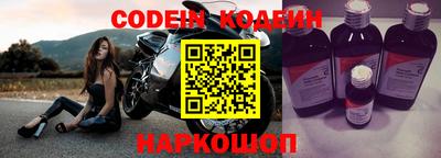 индика Камышлов