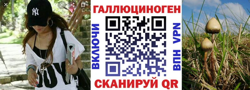 Псилоцибиновые грибы прущие грибы  Кунгур 