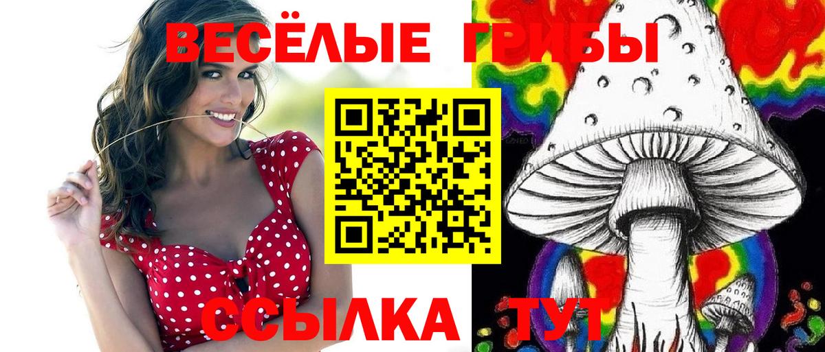 Галлюциногенные грибы Psilocybe  Псилоцибиновые грибы Magic Shrooms  Кунгур  Вход с VPN 