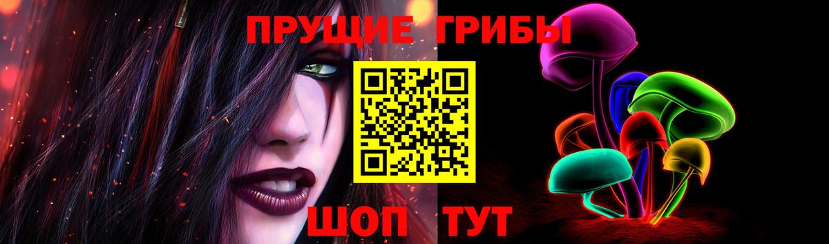 Псилоцибиновые грибы Psilocybe Кунгур